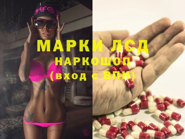 стафф Аркадак