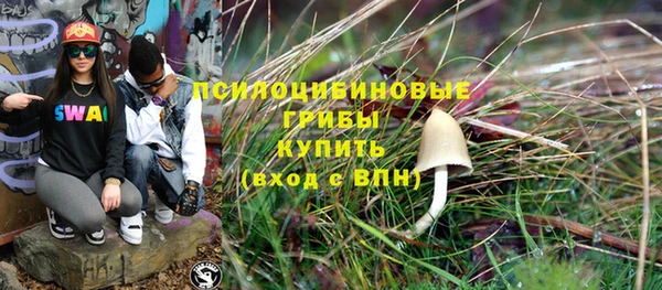 стафф Аркадак