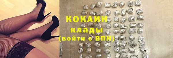 стафф Аркадак