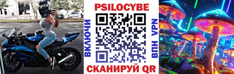 Псилоцибиновые грибы мицелий  где найти наркотики  Ахтубинск 